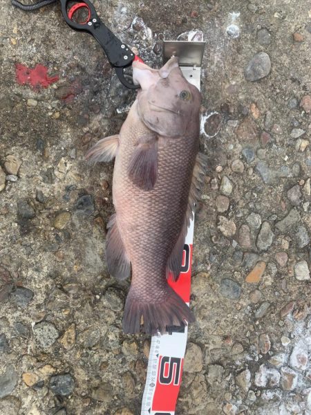 久しぶりの穏やかな風