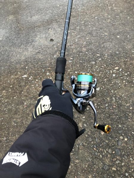 ヒラメが食べたくて