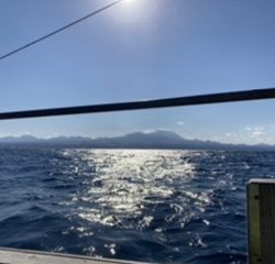 オフショアジギング