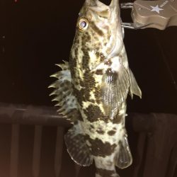 またあなたか〜