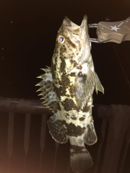 またあなたか〜