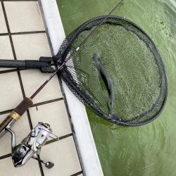 雪の舞う中エリアトラウト