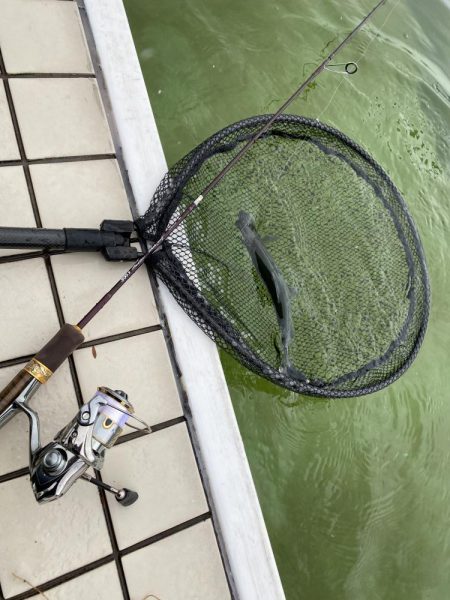 雪の舞う中エリアトラウト