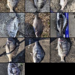 イチノ兄弟、釣果!