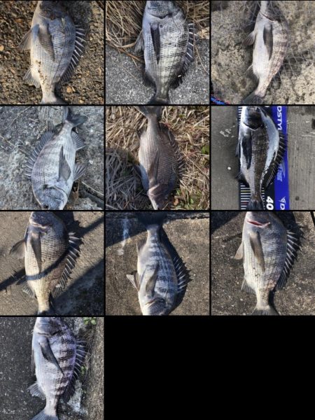 イチノ兄弟、釣果!