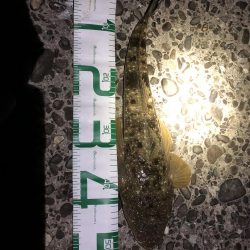 新規開拓からのやっぱりホーム