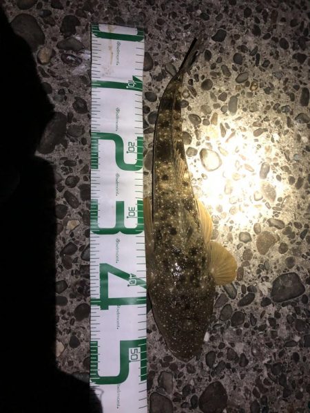 新規開拓からのやっぱりホーム