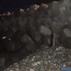 メバルのシーズン到来ですね