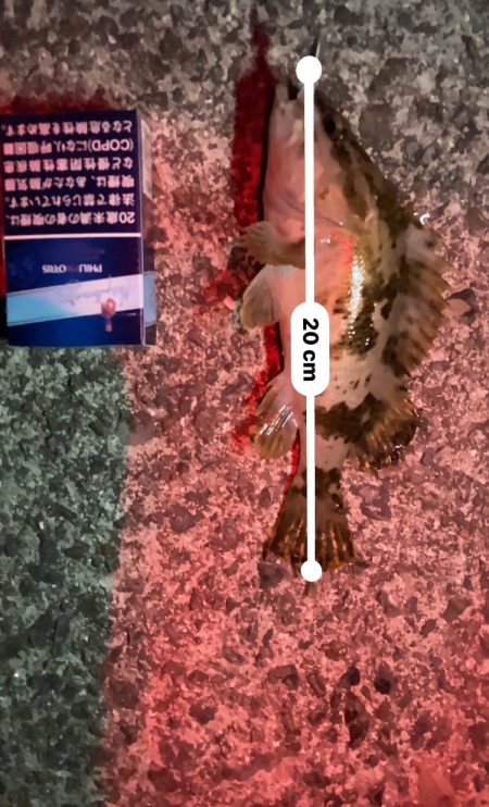 ガシリング 自己記録更新