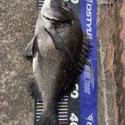 イチノ兄弟、釣果!