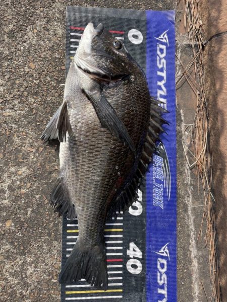 イチノ兄弟、釣果!