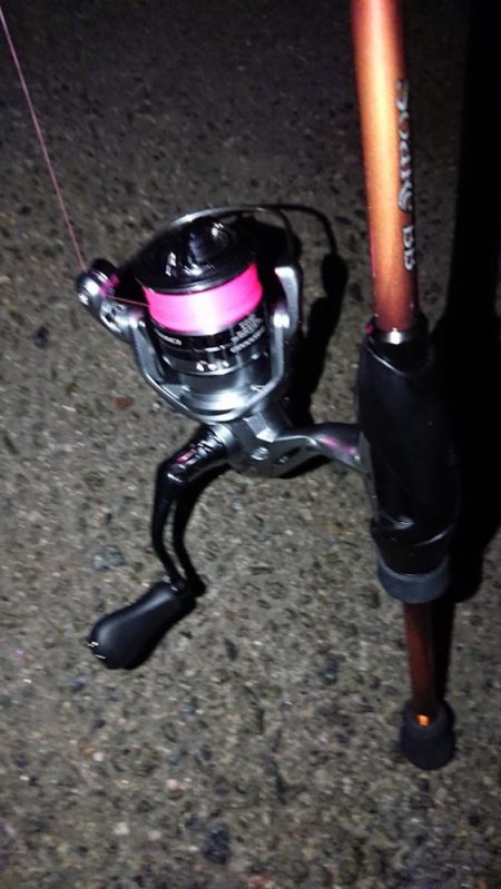 一応鱗づけ完了。