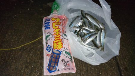 久しぶりのサビキ