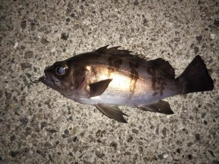 クリア レッドFlk.カラー大当たり