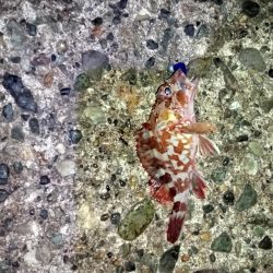 ☆年明け初釣行☆