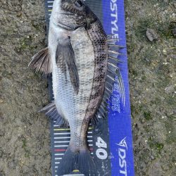 イチノ兄弟、釣果!