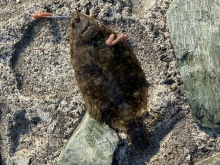 親子ちょい投げ釣り