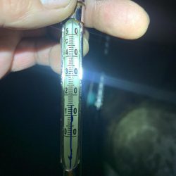 2022年 初アオリイカ!!GET!!