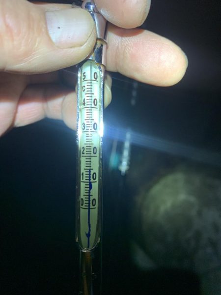 2022年 初アオリイカ!!GET!!