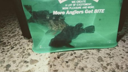 中層ゆっくり巻き