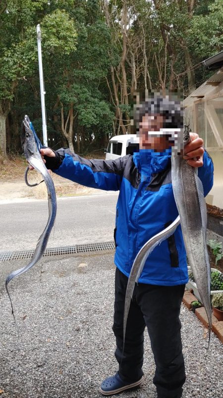 太刀魚入れ食い。