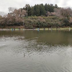 今年最後の釣行は管釣り。でも渋かった！