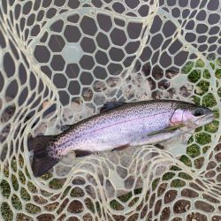 2022年初釣りは息子と楽しい管釣り！