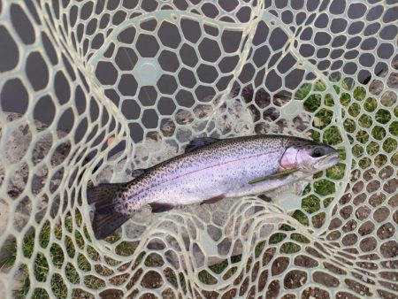 2022年初釣りは息子と楽しい管釣り！