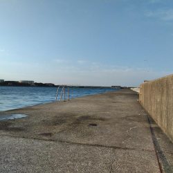 フカセ‥最高ですネ・・風強・・