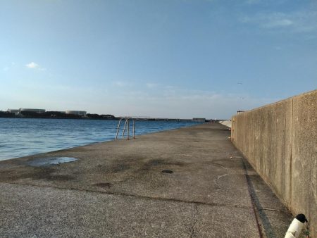 フカセ‥最高ですネ・・風強・・