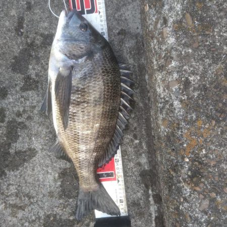 お金で物言わせてきました