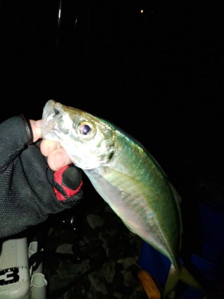 (尺アジ)フロートゲーム