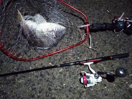 2022/01/22 南港ライトゲーム釣行