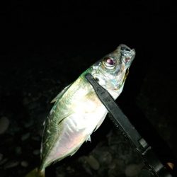 フロートゲーム～