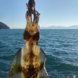 1月8,~9日の調査❗