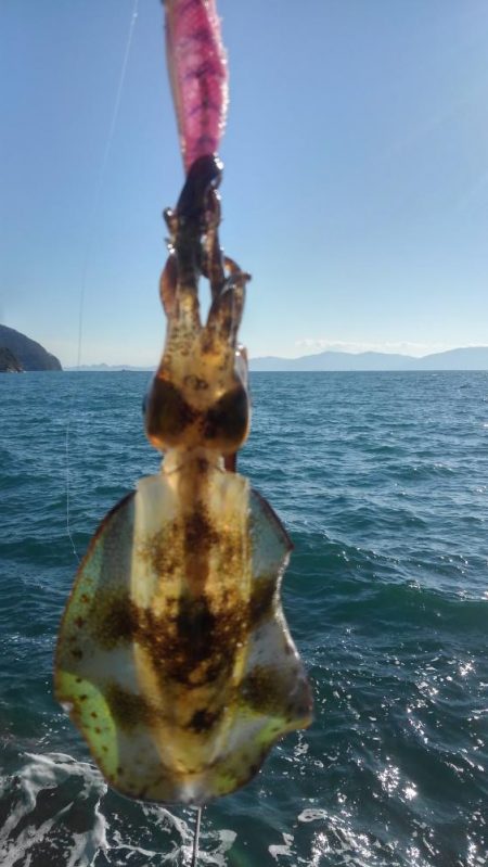 1月8,~9日の調査❗