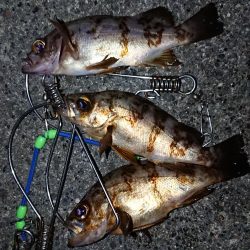 キープサイズなし。