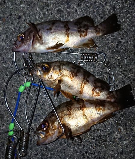 キープサイズなし。