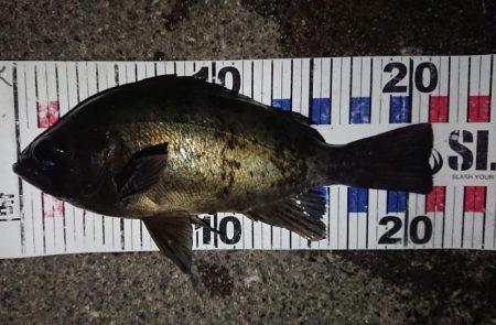 自己記録更新ならず!