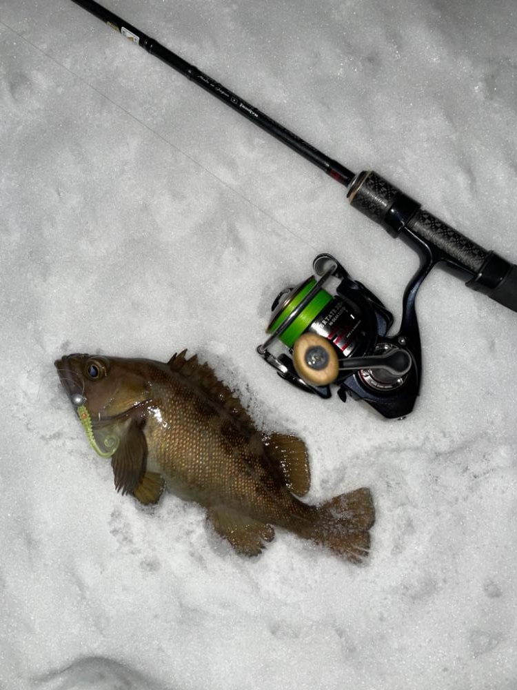 寒い時こそライトゲーム