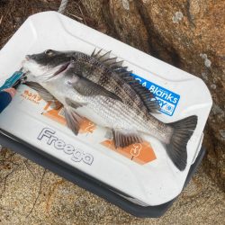 今年初激寒フカセ