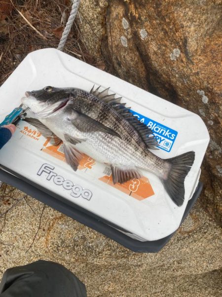 今年初激寒フカセ