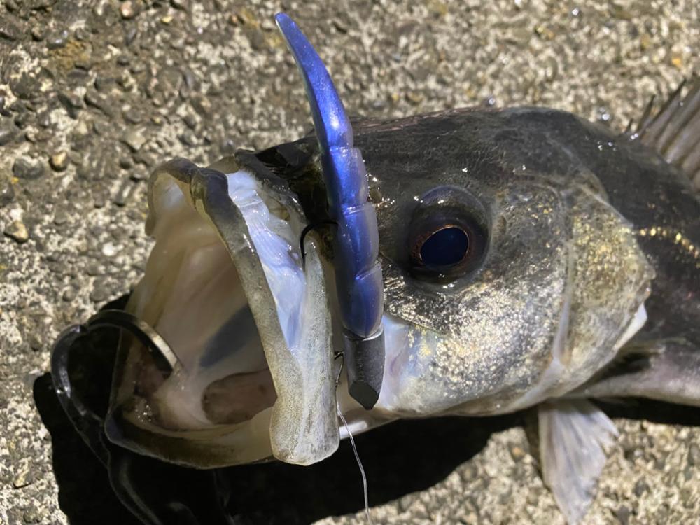 アフターに加え奇形かな…切なくなった。