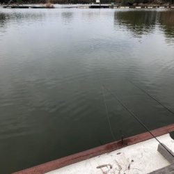 真冬の水藻フィッシングセンター