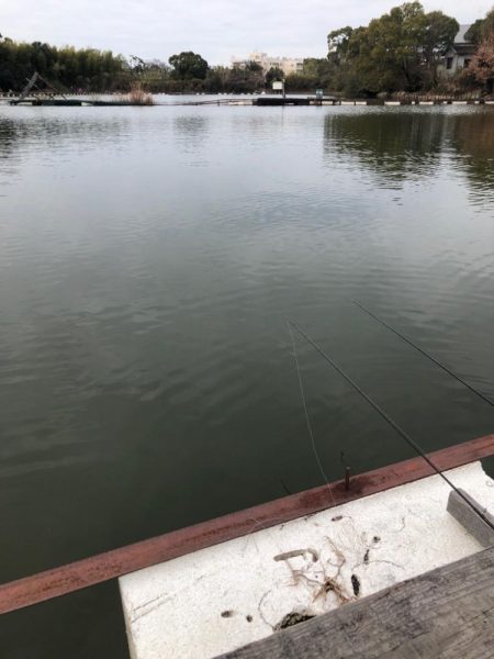 真冬の水藻フィッシングセンター