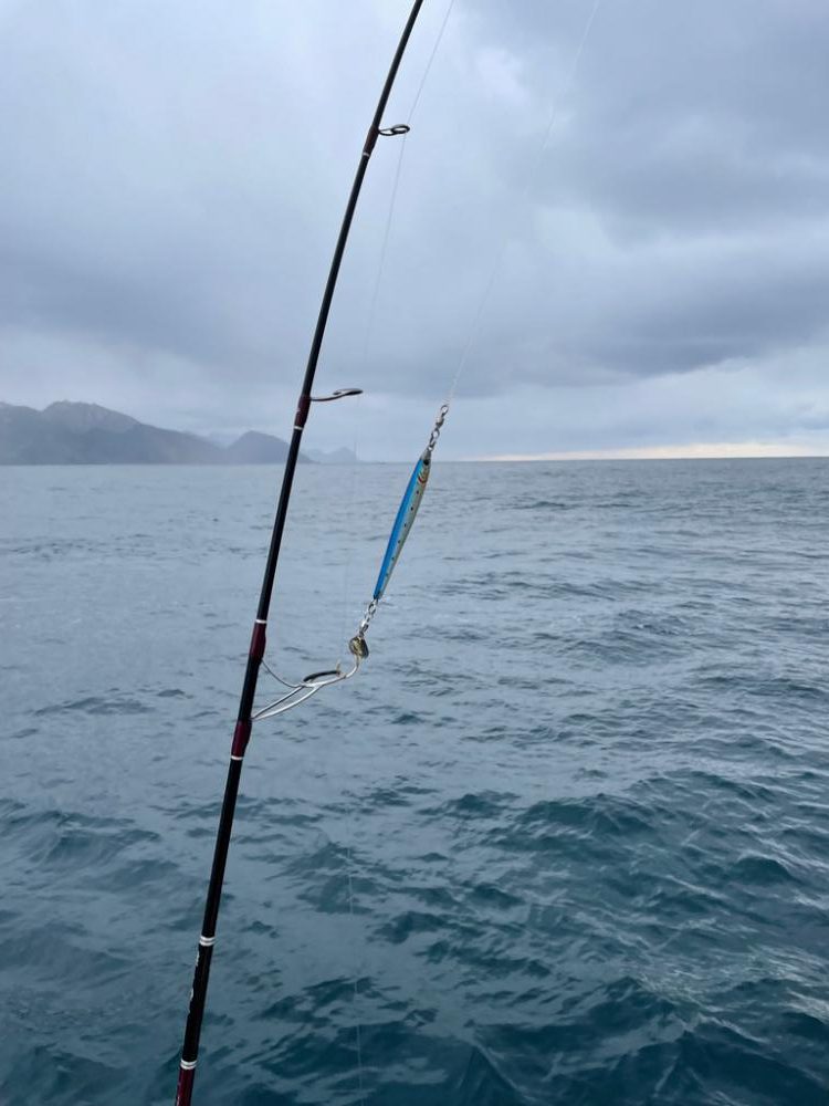 丹後沖ジギング