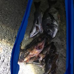 体寒トレーニング