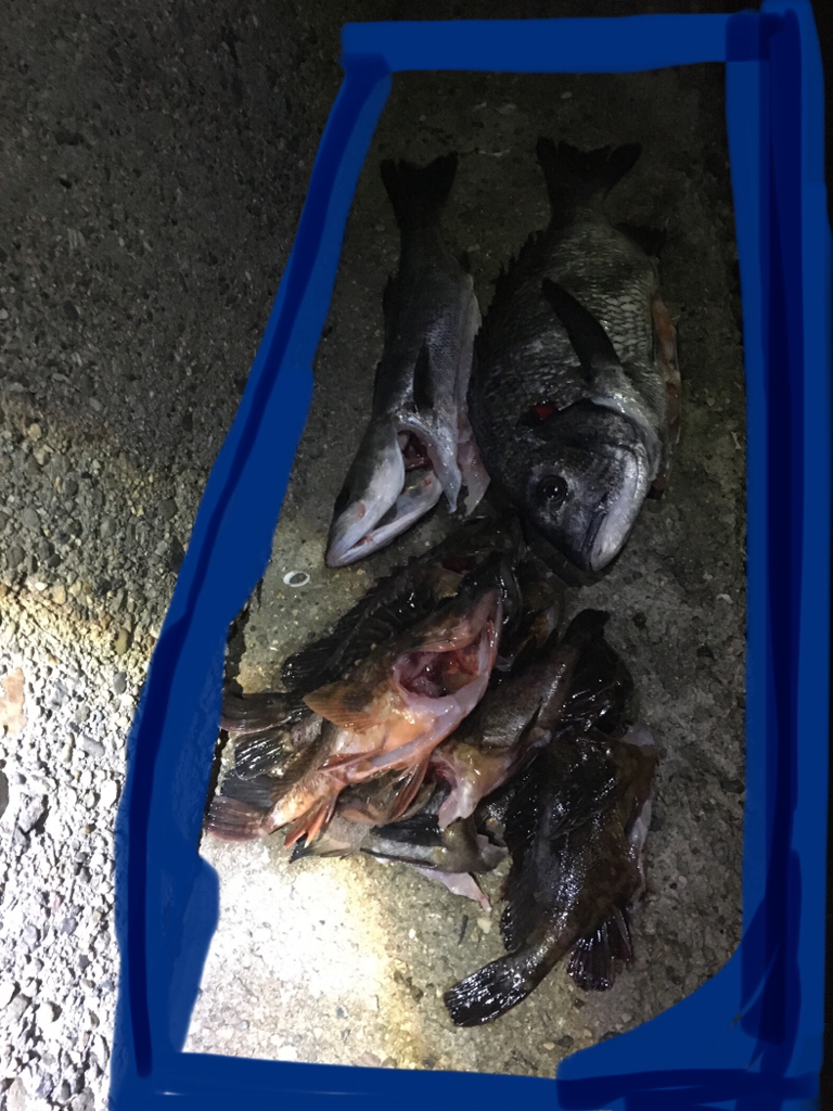 体寒トレーニング