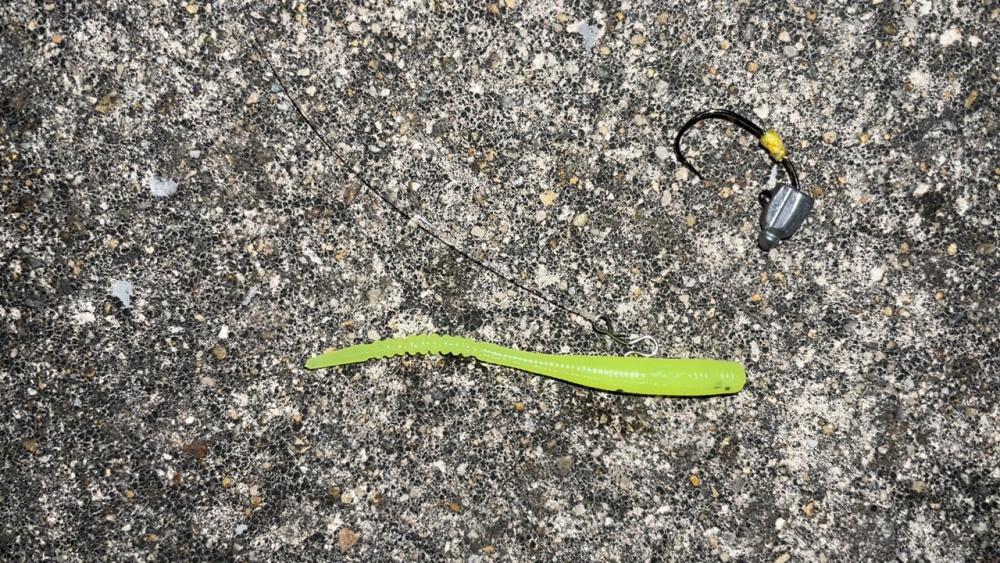 メバリングナイト