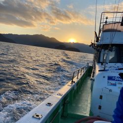 三重イカメタル